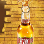02_Pollux_Plongee_Full+splash
